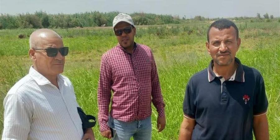 محافظة سوهاج تنفى شائعة زراعة مساحات من الأراضي بمحاصيل خضروات على مياه الصرف الصحي