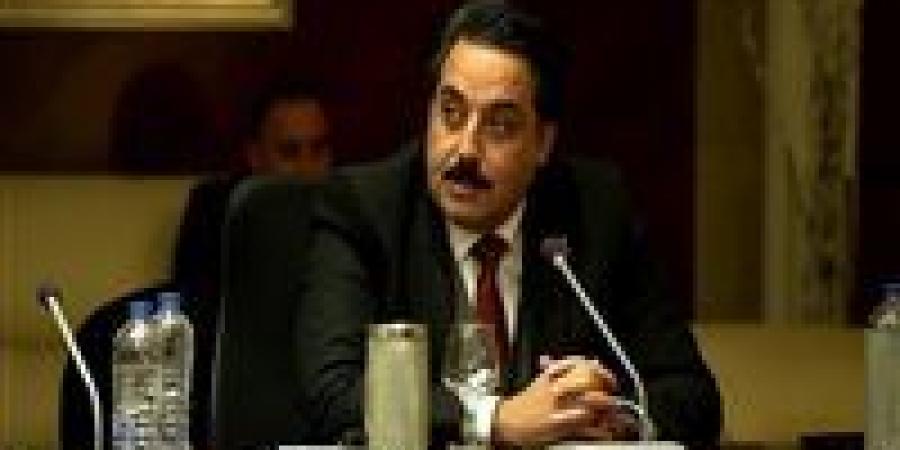 تامر الحبال: كلمة الرئيس السيسي في يوم أفريقيا أكدت ريادة مصر للقارة ودعمها للتنمية والاستثمار والتكامل