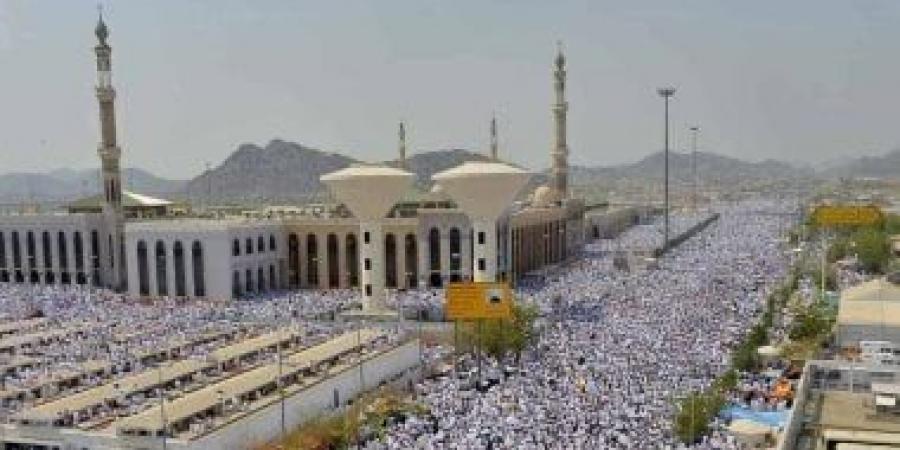 البيئة السعودية: وفرة عالية من الأضاحي لتلبية احتياجات الحجاج