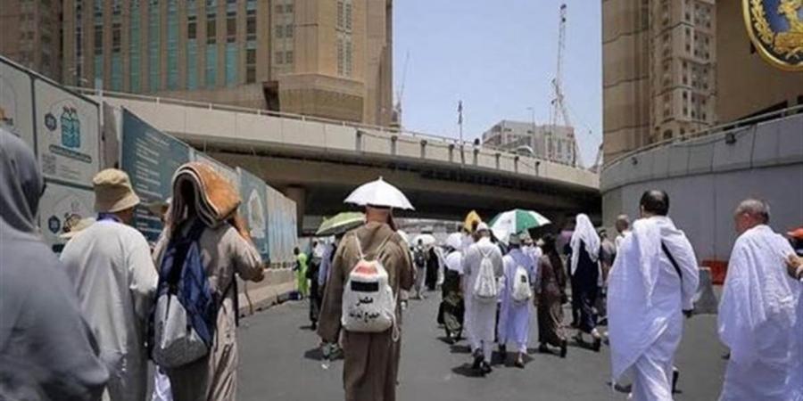 باستعدادات غير مسبوقة.. انطلاق 522 حافلة حديثة ومكيفة لتصعيد حجاج القرعة إلى عرفات