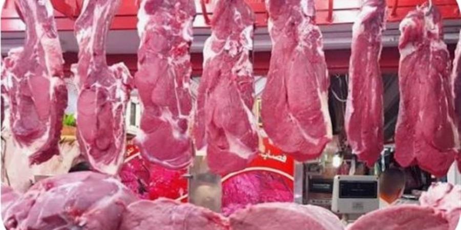 أسعار الأضاحي واللحوم بأسواق الوادي الجديد قبل عيد الأضحى المبارك