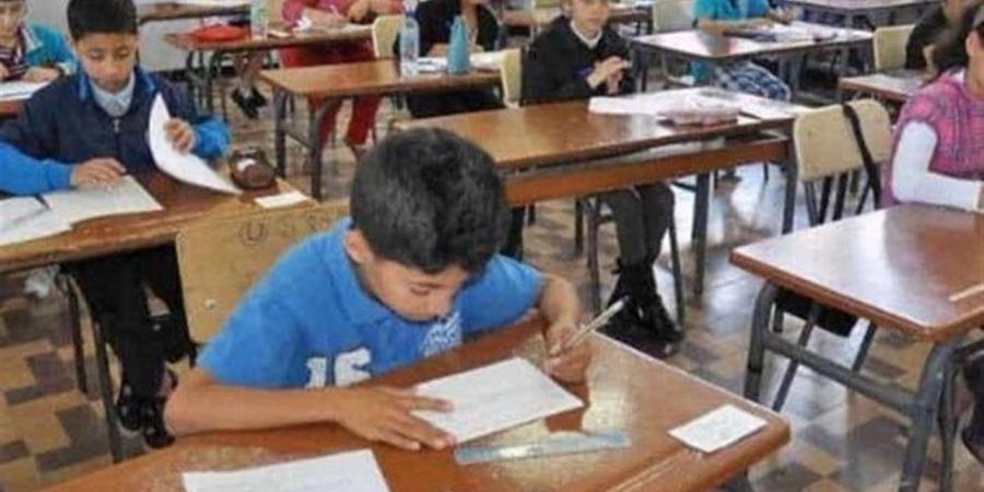 نتائج السادس الابتدائي 2026 في العراق.. خطوات الاستعلام والرابط الرسمي بالرقم الامتحاني