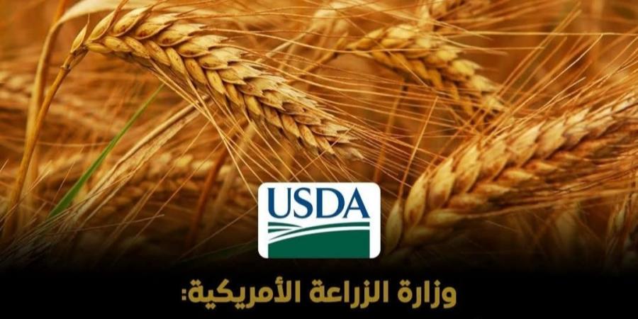 مصر تعزز الأمن الغذائي والاحتياطي الاستراتيجي برفع أسعار توريد القمح خلال 2026