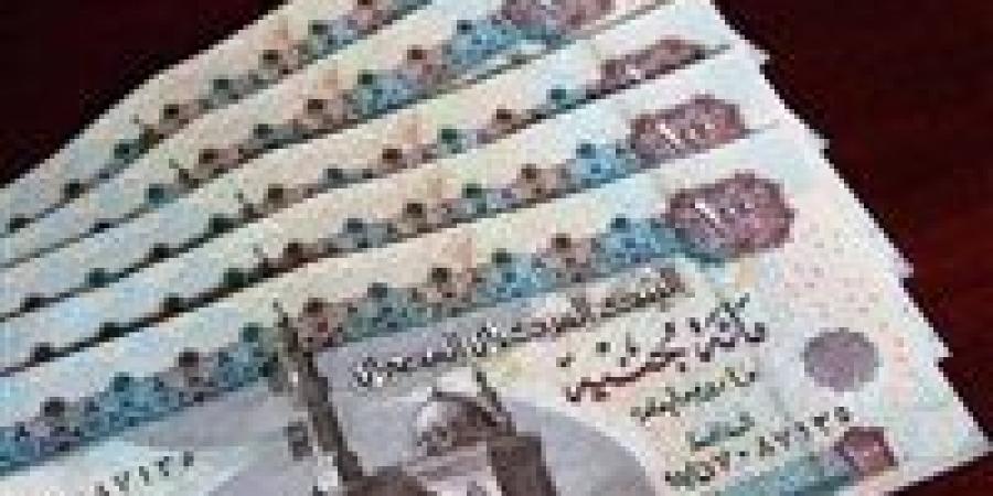 وفقا للقانون الجديد.. وفقا للقانون الجديد.. ما هي الفئات المستحقة لدعم تكافل؟