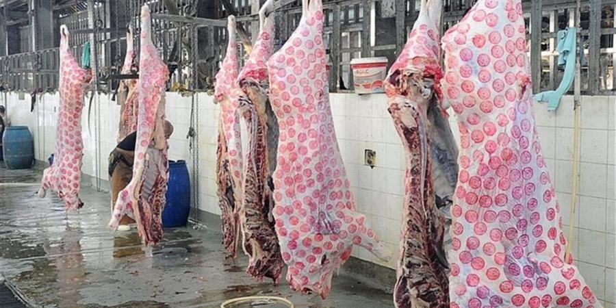 منى نظير: المجازر المرخصة خط الدفاع الأول عن صحة المصريين (فيديو)