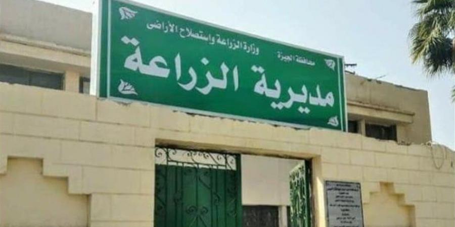 "زراعة الجيزة": تعامل فوري مع أي حالات تعدٍ على الأراضي الزراعية