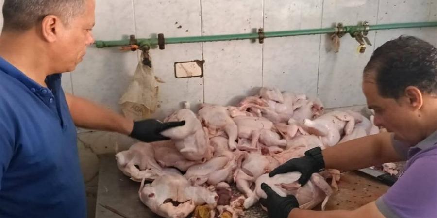 ضبط لحوم ودواجن فاسدة بالمنيا ولحوم مخالفة في بني سويف