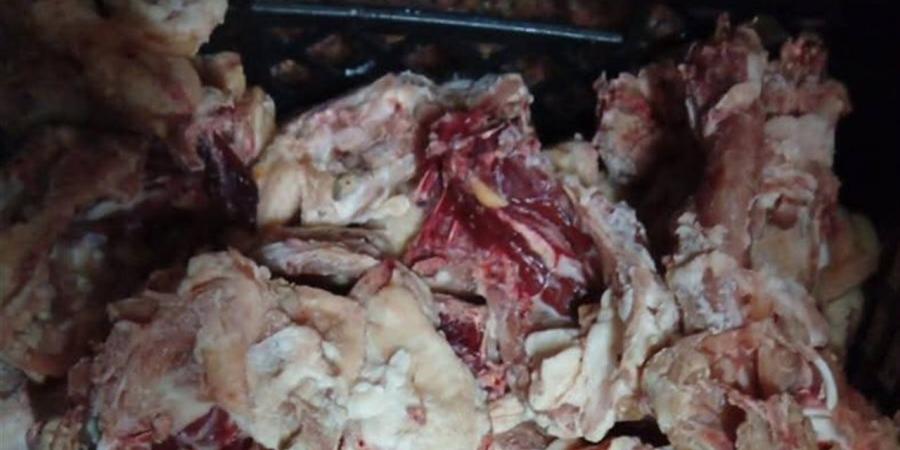 ضبط لحوم ومجمدات غير صالحة للاستهلاك الآدمي بسوهاج
