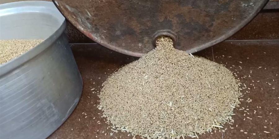 سعر الأرز الشعير اليوم السبت 30-5-2026 في الأسواق.. عريض ورفيع الحبة