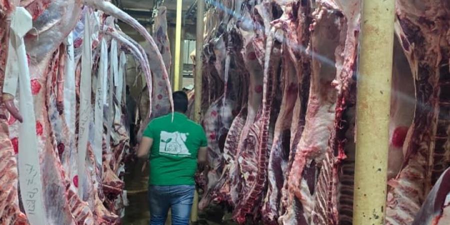 توزيع لحوم 166 أضحية على أكثر من 31 ألف أسرة بالبحيرة خلال أيام العيد