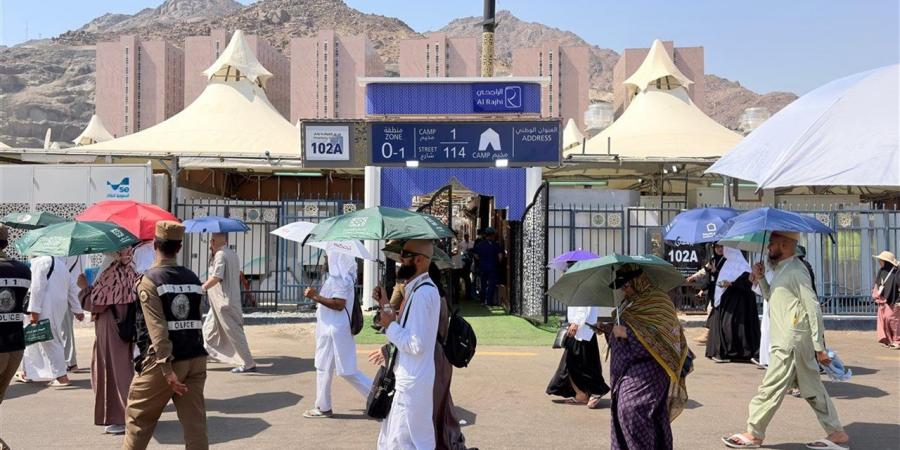 شريان التجارة وبوابة الحجاج.. الأهمية التاريخية لاكتشاف ميناء عيذاب