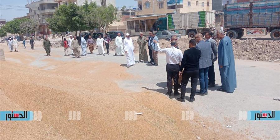 استئناف توريد القمح المحلي بمطروح بعد إجازة عيد الأضحى.. واستقبال أكثر من 22 ألف طن حتى الآن