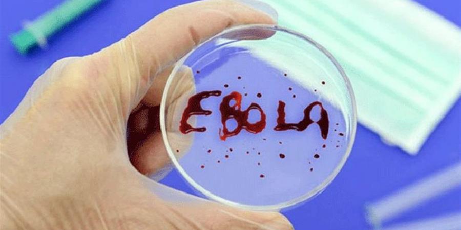 الإيبولا يصل البرازيل.. مخاوف دولية من انتشار الفيروس خارج نطاق القرن الإفريقي