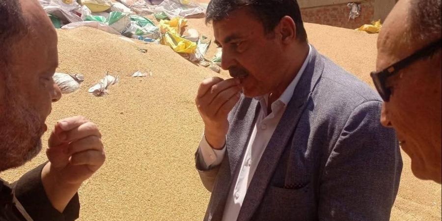 وكيل "تموين المنوفية" يتابع انتظام توريد القمح عبر جولات ميدانية مكثفة