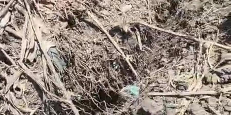 أهالي عزبة عجور في المنوفية يستغيثون من هبوط خطير بطريق الباجورية الرئيسي