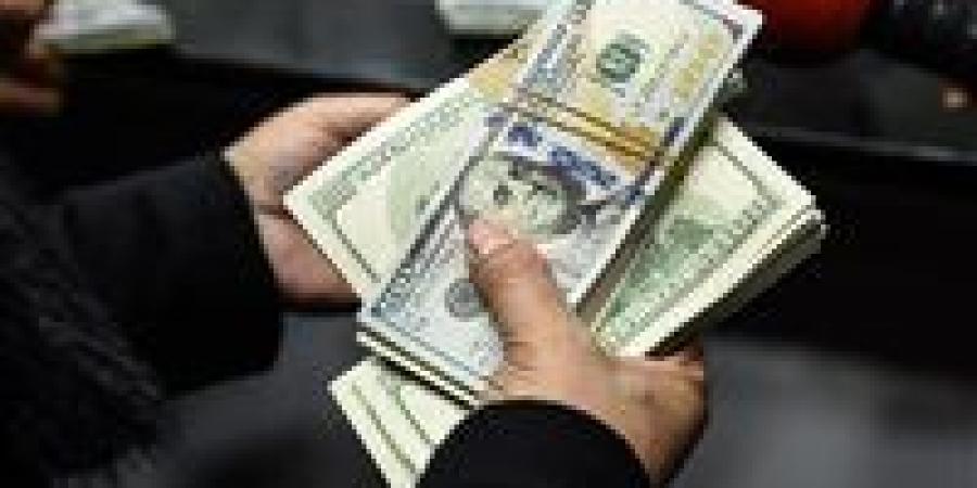 المصريون بالخارج يدعمون الاقتصاد.. تحويلات قياسية تعزز النقد الأجنبي