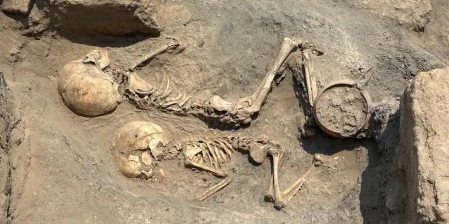 عمرها آلاف السنين.. جمجمة طفل تكشف أسرار الطب القديم