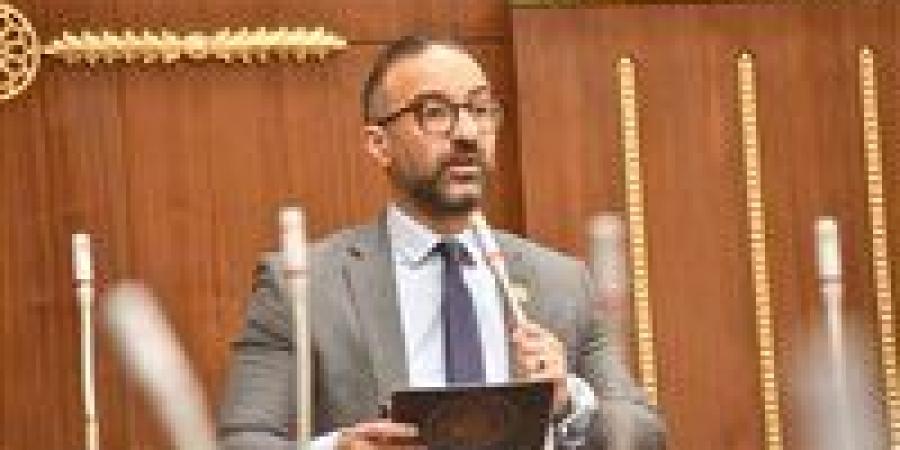 كفاية ضغط على الأباء.. النائب أحمد الحمامصي يطالب وزير العدل بزيادة الرؤية لتصبح 6 ساعات