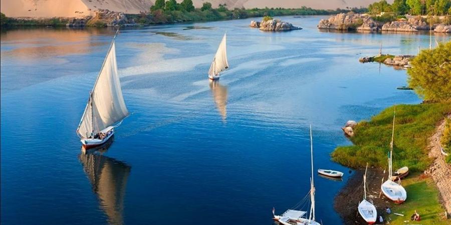 الليلة.. قطار "شارع الفن" يصل قلب ميدان المحطة في أسوان
