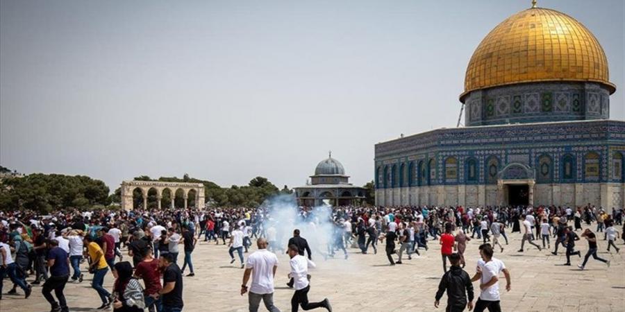 سياسيون: اقتحام المسجد الأقصى انتهاك للقانون الدولي واستفزاز لمشاعر المسلمين