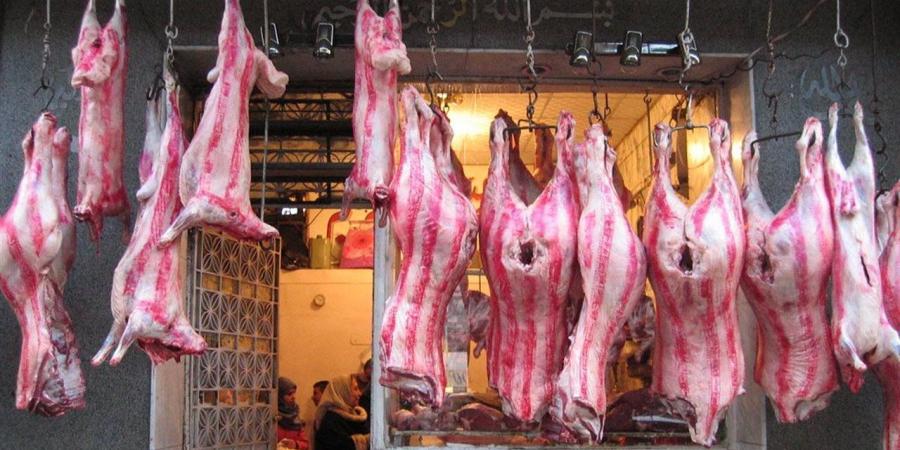 أسعار اللحوم البلدية والمجمدة في محافظة البحيرة اليوم