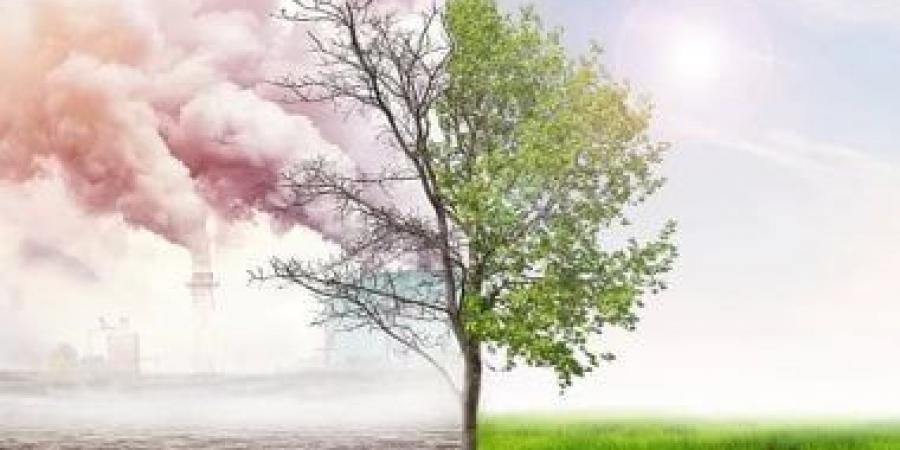 فى يوم البيئة العالمى.. تقرير يكشف عن الاعتداءات على التغطية البيئية