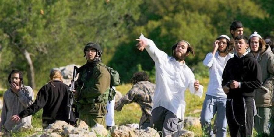 اعتداءات المستوطنين تحرم الفلسطينيين من مواسم الحصاد في الضفة الغربية