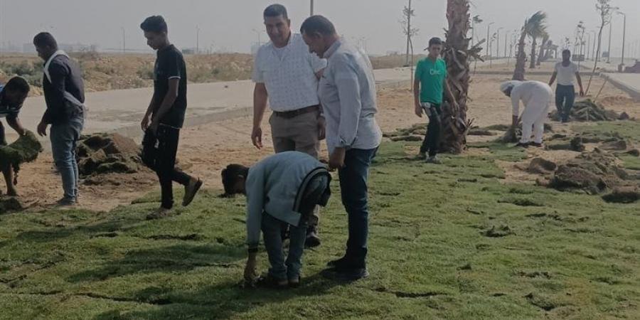 رئيس جهاز بني سويف الجديدة يتابع أعمال التشجير وتطوير الطرق (صور)
