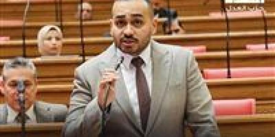 النائب أحمد ناصر يتقدم بطلب إحاطة بشأن جدوى المناطق الحرة الخدمية وأثرها على تنمية صادرات الخدمات