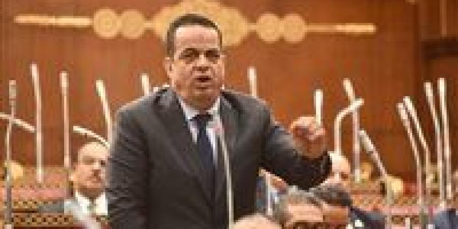 النائب عصام عفيفي: خطة التنمية الاقتصادية والاجتماعية 2026/2027 تعكس طموحًا تنمويًا مهمًا.. ونطالب بمزيد من الوضوح بشأن آليات التنفيذ وقياس الأثر على المواطن