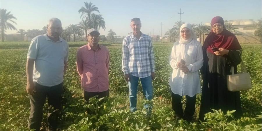 زراعة الفيوم تبدأ إطلاق طفيل التريكوجراما بسنورس لمكافحة الآفات الحيوية على 250 فدانًا