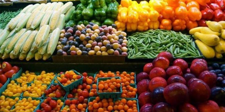 جولة ميدانية لزراعة القنطرة شرق لمتابعة المحاصيل الزراعية بزمام جلبانة