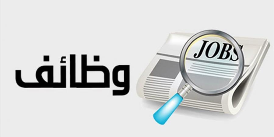 السويس.. بروتوكولات تعاون مع القطاع الخاص لتوفير فرص عمل للمتميزين