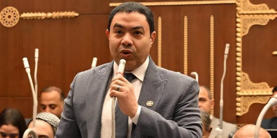 للحفاظ على استقرار الأسعار.. برلماني يدعو لربط تصدير الدواجن باحتياجات السوق المحلي