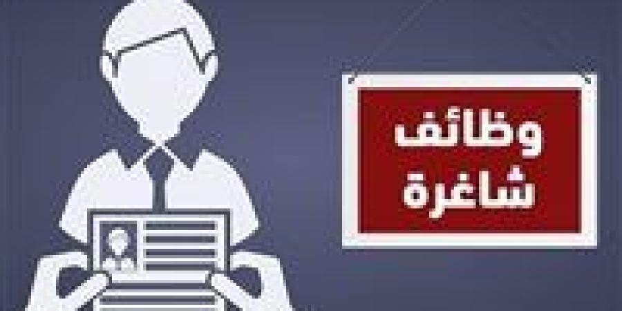 وزارة العمل تعلن عن 1590 فرصة عمل في 11 محافظة