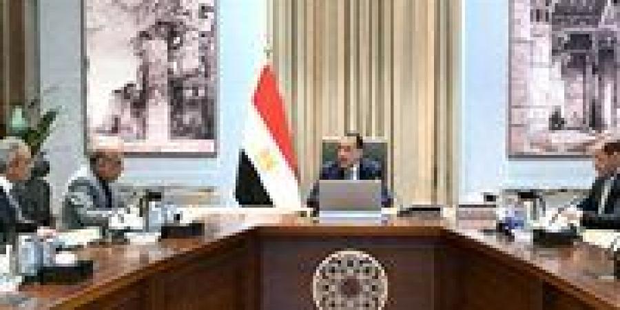 رئيس الوزراء يتابع إجراءات توفير التمويل المطلوب لمشروعات الطاقة الجديدة والمتجددة