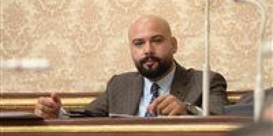 النائب إبراهيم محمد الديب لـ تحيا مصر: التحول الرقمي وتفعيل كارت الفلاح السبيل للقضاء على السوق السوداء للأسمدة وضمان وصول الدعم لمستحقيه