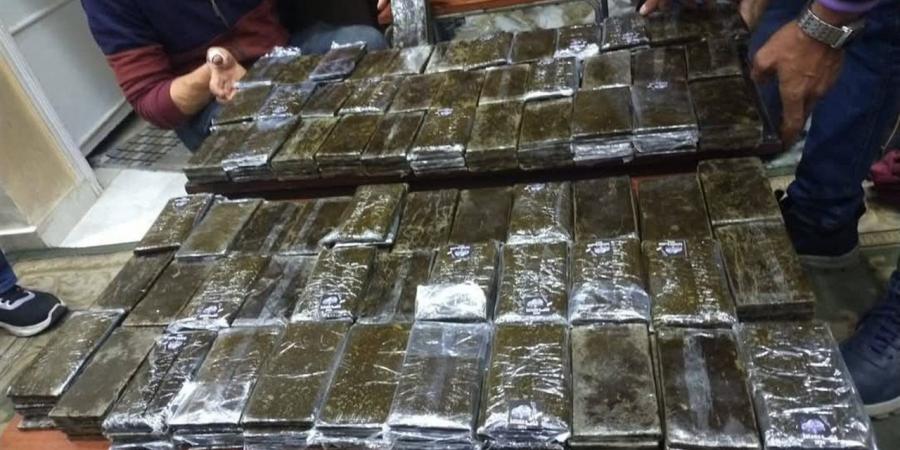 الحشيش يتصدر قائمة المخدرات بين المتصلين بمكافحة الإدمان لطلب العلاج