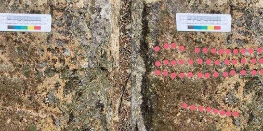 العثور على لوحة ألعاب نادرة تعود للعصور الوسطى.. اعرف مكان الاكتشاف