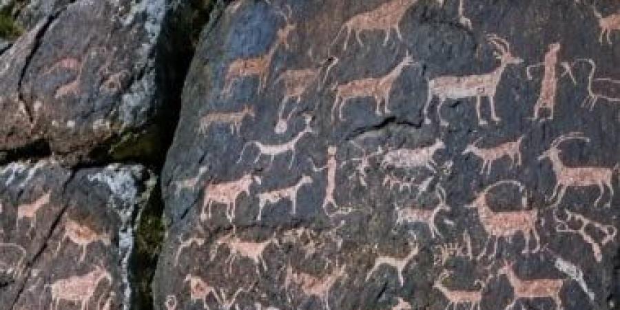 العثور على 1200 نقش صخري نادر في كازاخستان
