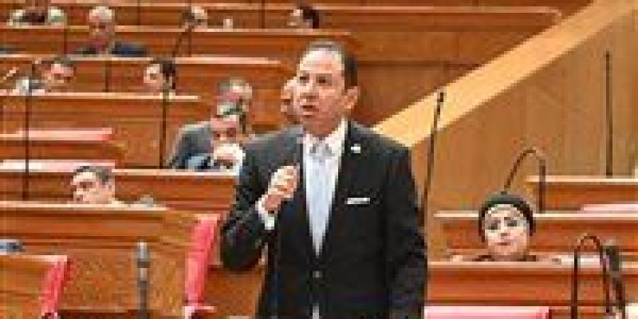 النائب حسن عمار لـ تحيا مصر: اتحاد المطورين العقاريين سيحفظ حقوق المواطنين وينهي فوضى التعاقدات