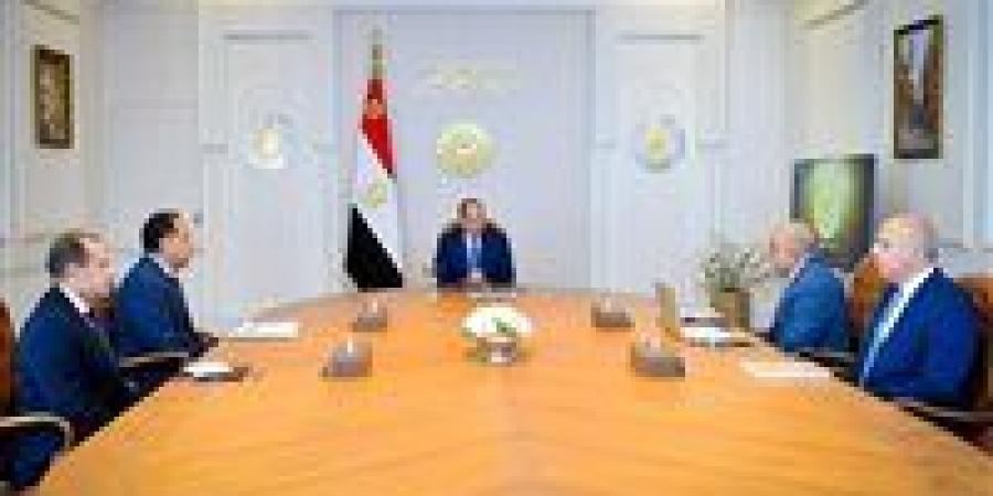 عاجل.. الرئيس السيسي يجتمع مع رئيس الوزراء ووزير الكهرباء
