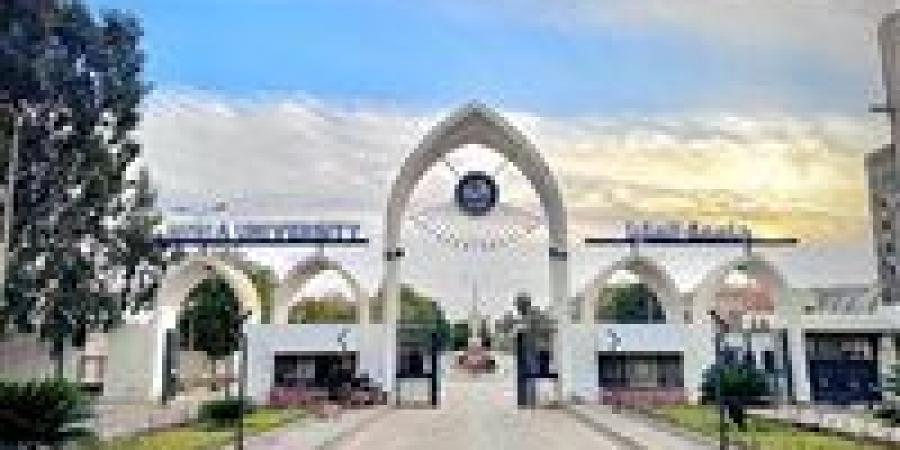 التعليم العالي: الجامعات المصرية حققت قفزات ملحوظة على خريطة التصنيفات الدولية