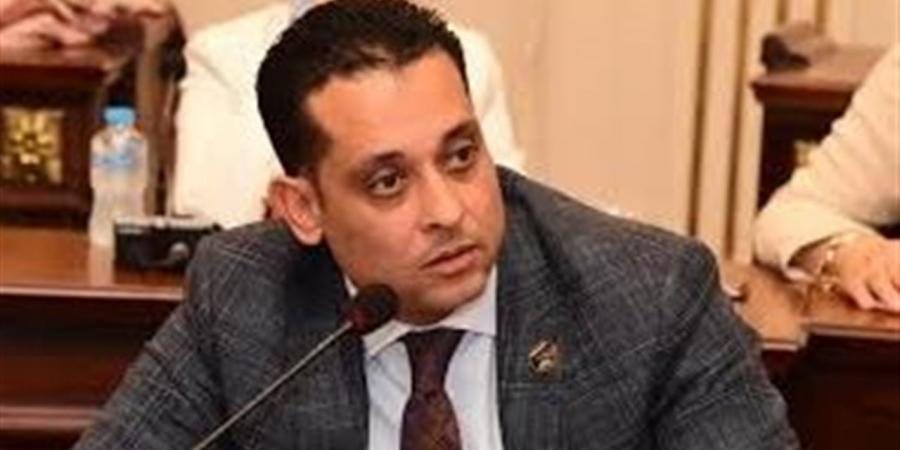 محمد نشأت: مشاركة السيسي في قمة السبع الكبرى تعكس الثقل السياسي المتنامي لمصر دوليا
