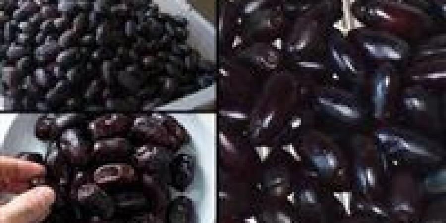 هل رأيت البلح الأسود في حلمك؟ إليك التفسير الكامل ومعانيه الخفية