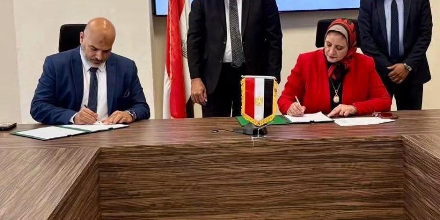 بتقنيات الألياف الضوئية.. "المصرية لنقل الكهرباء" تدعم البنية التحتية والتشغيل الآمن لشبكة القاهرة (صور)