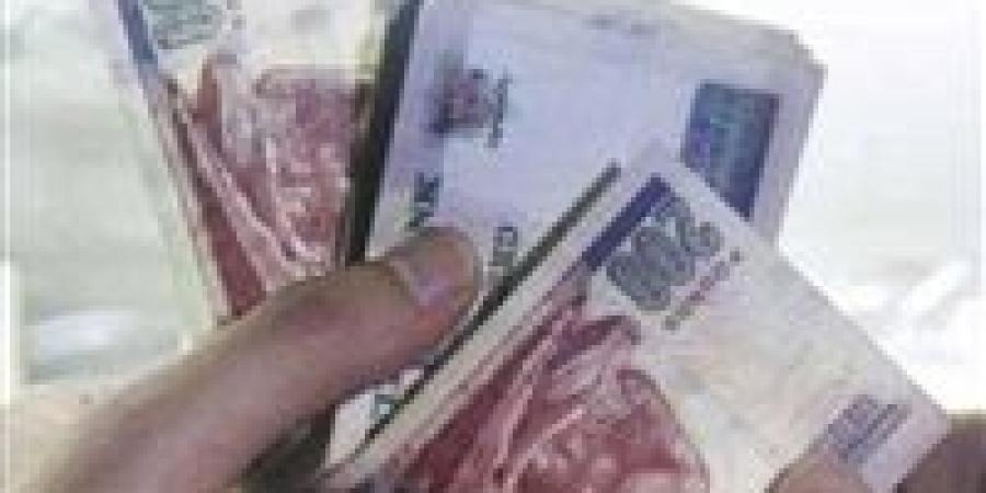 اقتصادي: الحكومة تدرس نظام الشرائح في الدعم ولا مساس بالخبز والزيت والسكر