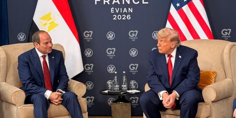 حامد فارس: العلاقات المصرية الأمريكية تمثل إحدى أهم ركائز الاستقرار في منطقة الشرق الأوسط
