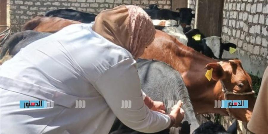 "الزراعة" تكثف الإنذار المبكر لحماية الثروة الحيوانية والداجنة بـ 16 ألف زيارة لمنازل وأسواق ماشية