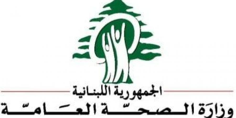 الصحة اللبنانية: 9 قتلى وجرحى إثر غارة إسرائيلية على قضاء بعلبك